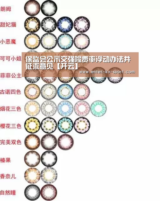 保监会公示交强险费率浮动办法并征求意见【开云】