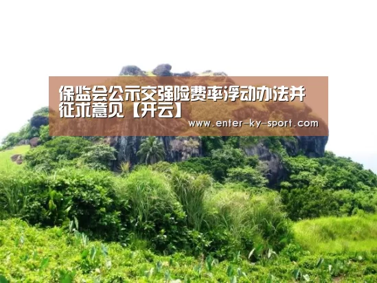 保监会公示交强险费率浮动办法并征求意见【开云】(图4) 开云体育